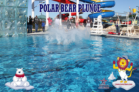 20190105PolarBearD-6534