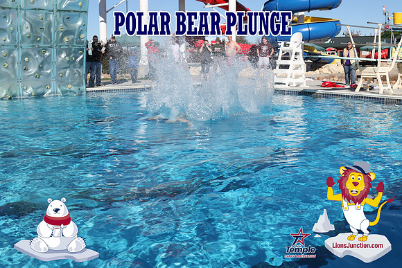 20190105PolarBearD-6535