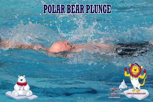 20190105PolarBearD-6539