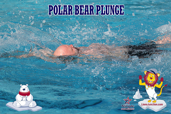 20190105PolarBearD-6540