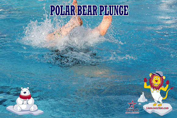 20190105PolarBearD-6544