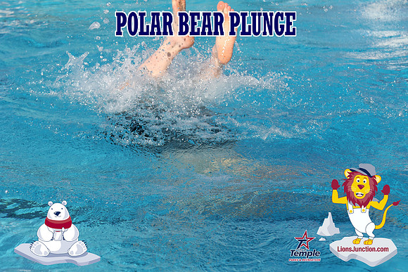 20190105PolarBearD-6545