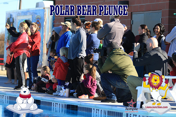 20190105PolarBearA-3919