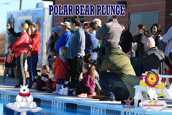 20190105PolarBearA-3920