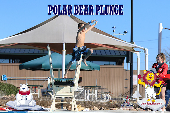 20190105PolarBearA-4051