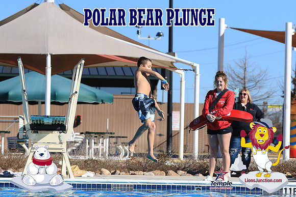 20190105PolarBearA-4052