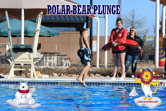 20190105PolarBearA-4053