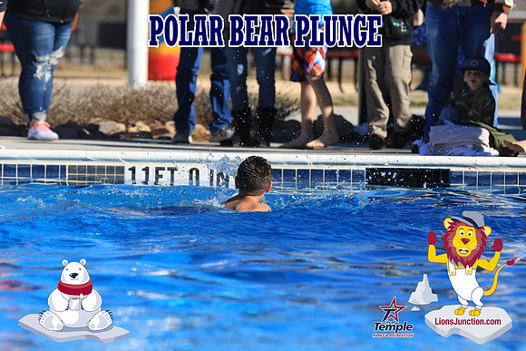 20190105PolarBearA-4059