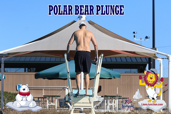 20190105PolarBearA-4063