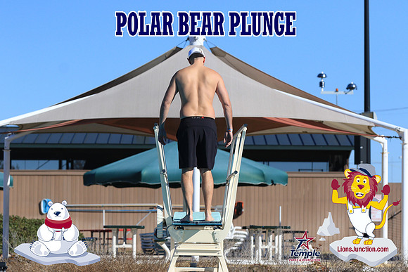20190105PolarBearA-4064