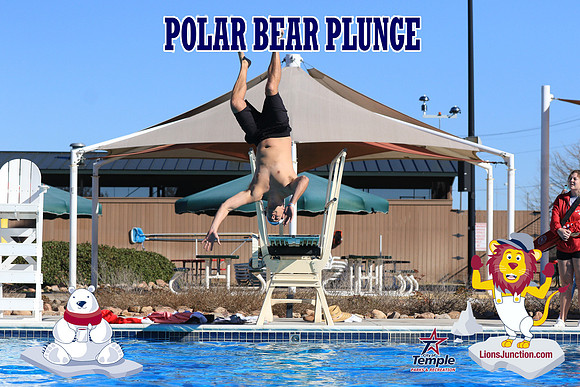 20190105PolarBearA-4067