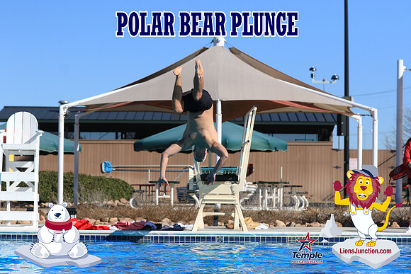 20190105PolarBearA-4068