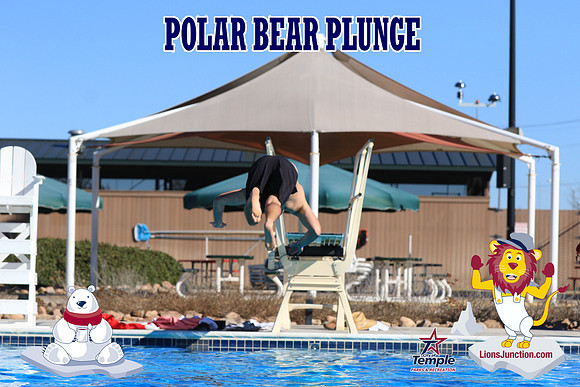20190105PolarBearA-4069