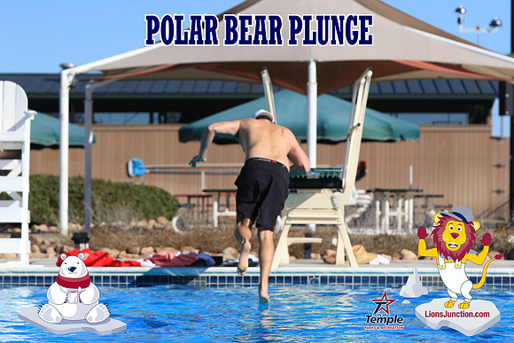 20190105PolarBearA-4070