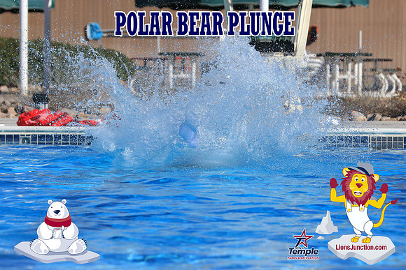 20190105PolarBearA-4074