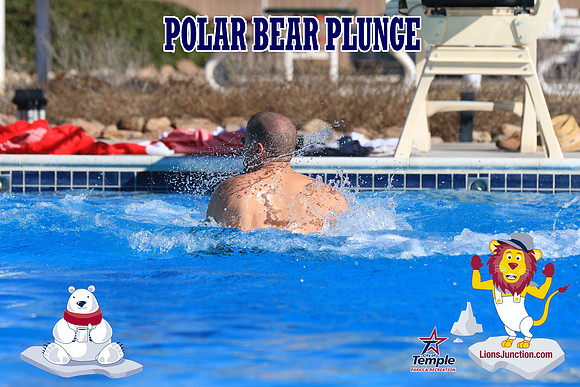 20190105PolarBearA-4075