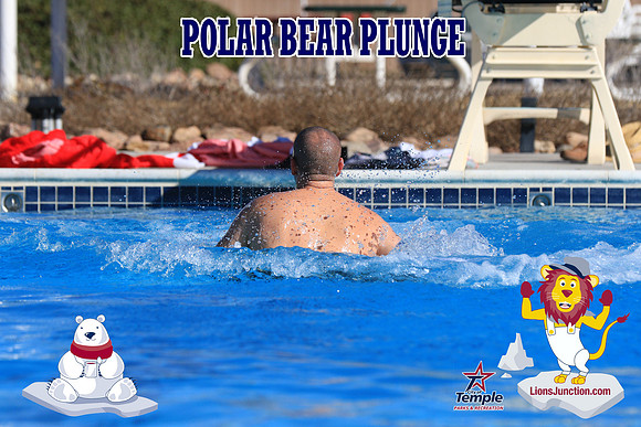 20190105PolarBearA-4076