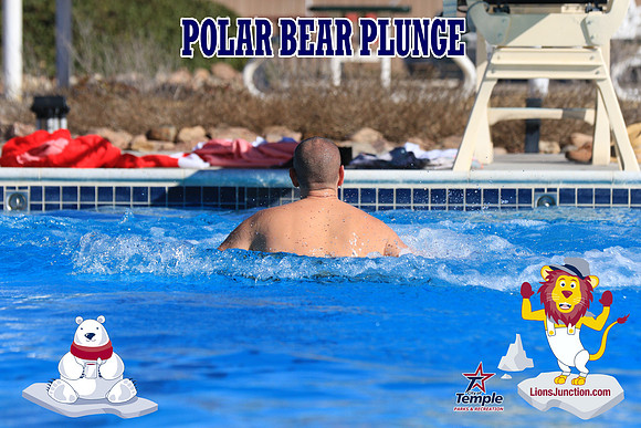 20190105PolarBearA-4077