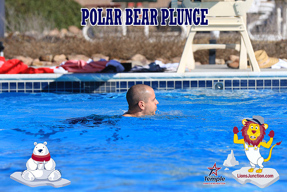 20190105PolarBearA-4079