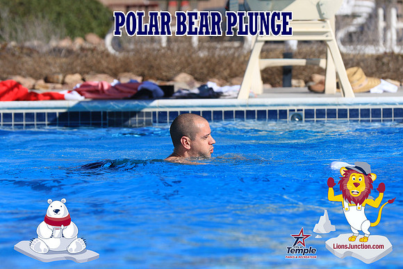 20190105PolarBearA-4080