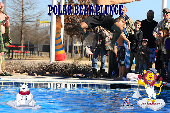 20190105PolarBearA-4082