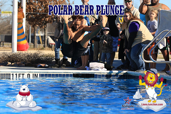 20190105PolarBearA-4085