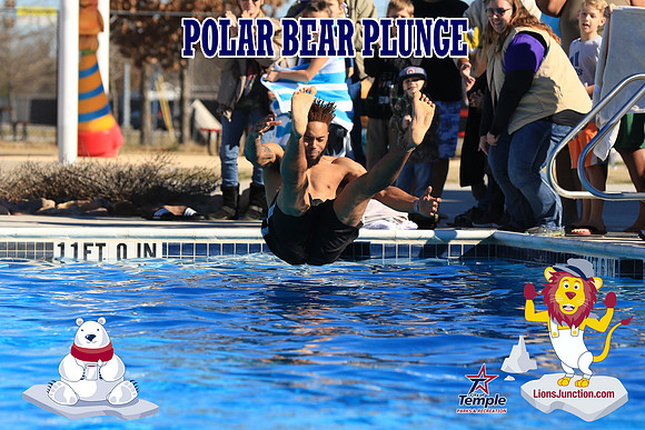20190105PolarBearA-4086
