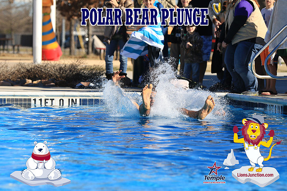 20190105PolarBearA-4087