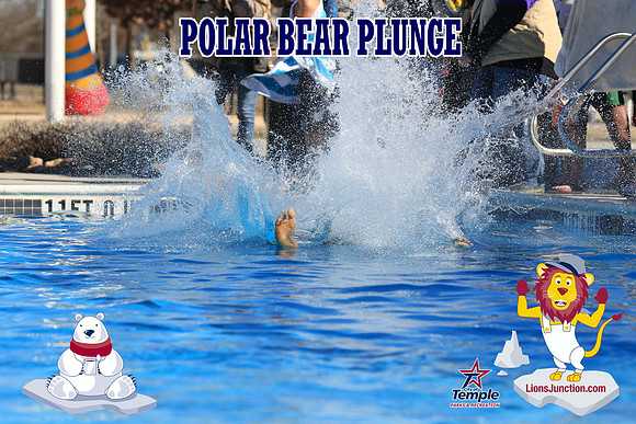 20190105PolarBearA-4088
