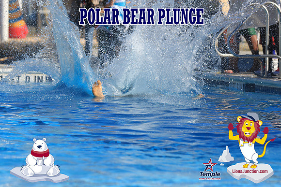 20190105PolarBearA-4089