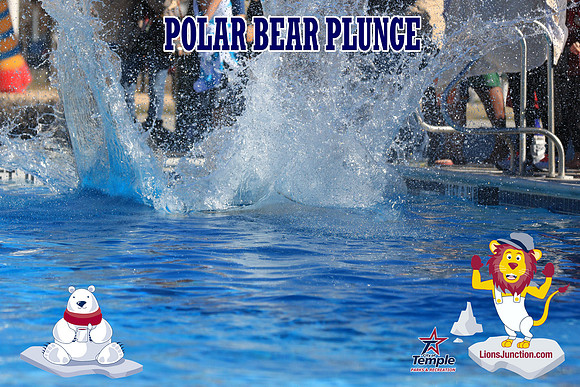 20190105PolarBearA-4090