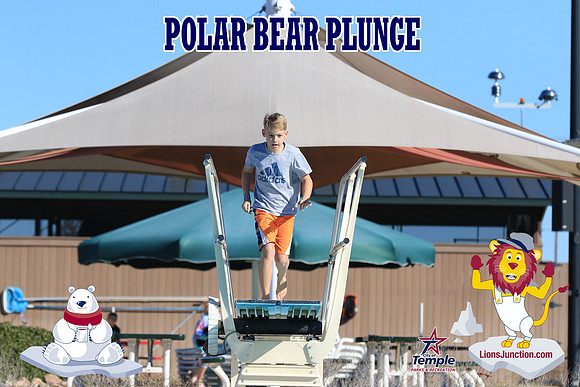 20190105PolarBearA-4091