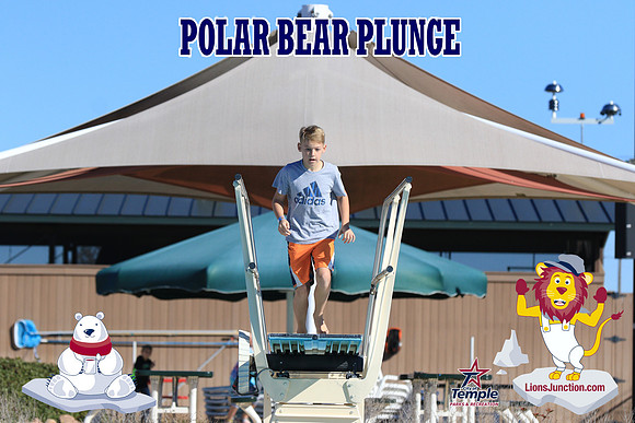 20190105PolarBearA-4092