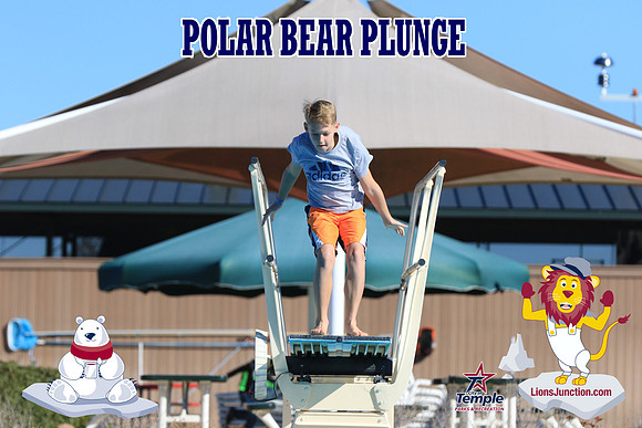 20190105PolarBearA-4093