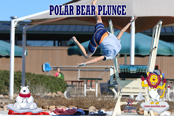 20190105PolarBearA-4098