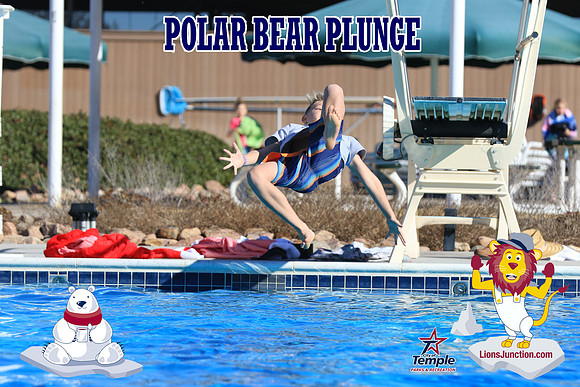 20190105PolarBearA-4100