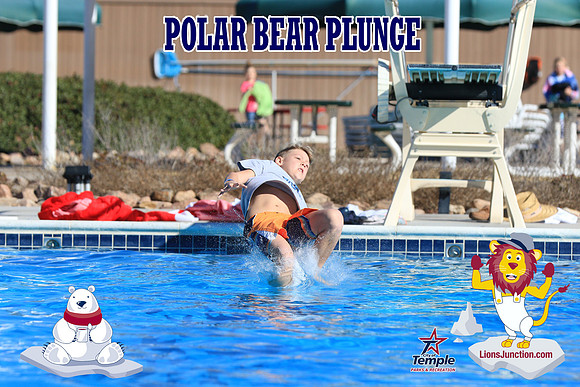 20190105PolarBearA-4101
