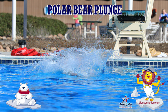 20190105PolarBearA-4102
