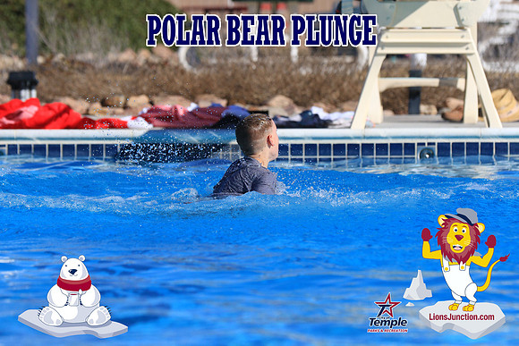 20190105PolarBearA-4103
