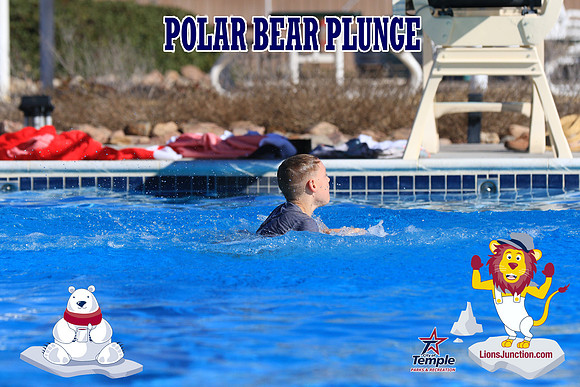 20190105PolarBearA-4104