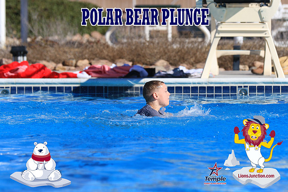 20190105PolarBearA-4105