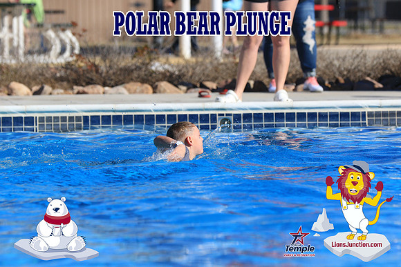 20190105PolarBearA-4106