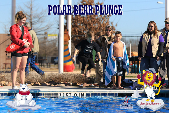 20190105PolarBearA-4110
