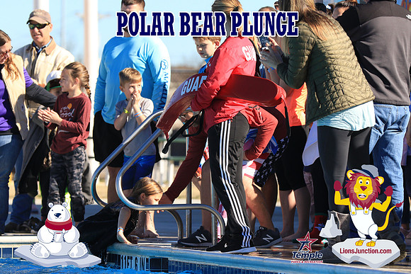 20190105PolarBearA-4119