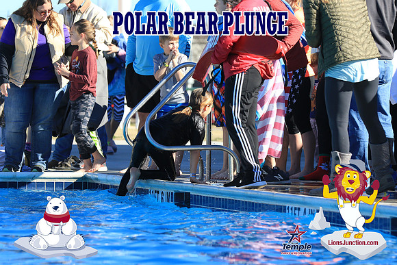 20190105PolarBearA-4121