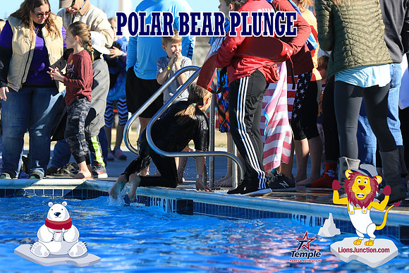 20190105PolarBearA-4122