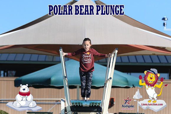 20190105PolarBearA-4124