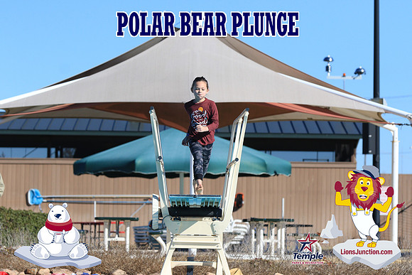 20190105PolarBearA-4125