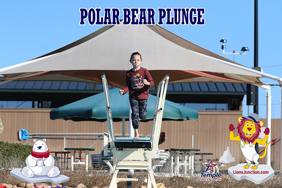 20190105PolarBearA-4126