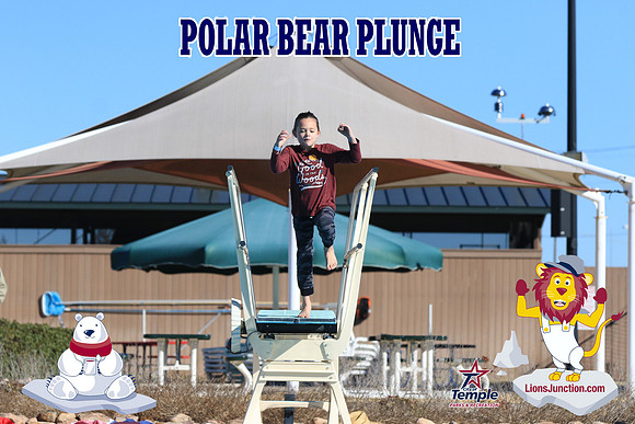 20190105PolarBearA-4127